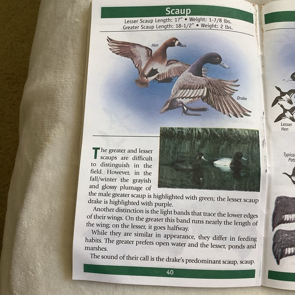 Know Thy Duck Booklet - Picture 4 of 8